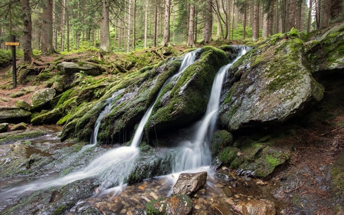водопад, река, лес, природа, зеленые