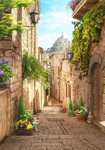 город, улица, улочка, цветы, кашпо, растительность, зелень, фонарь, замок, бежевые, голубые