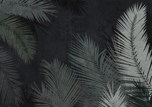 Тропики, Папоротник, Кустарник, Листья