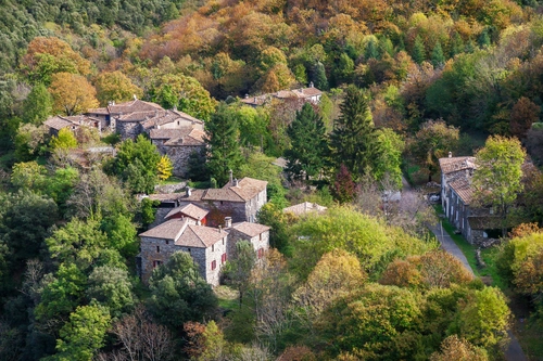 лес, деревья, деревня, дом, франция, зеленые, серые