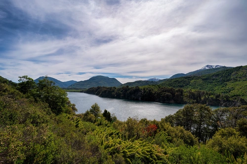 аргентина, природа, озеро, зеленые, серые