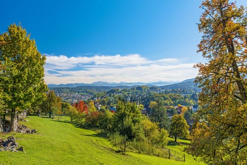 лес, деревья, горизонт, природа, горы, зеленые, швейцария, синие, голубые