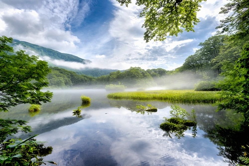 туман, озеро, природа, парк, зеленые, белые, синие, япония