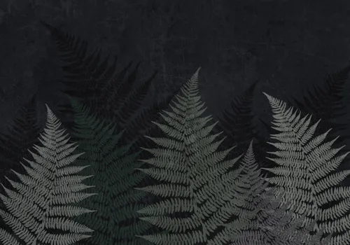 Тропики, Папоротник, Кустарник, Листья