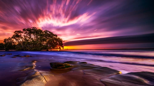 небо, закат, море, дерево, камни, сияние, фиолетовые, зелёные