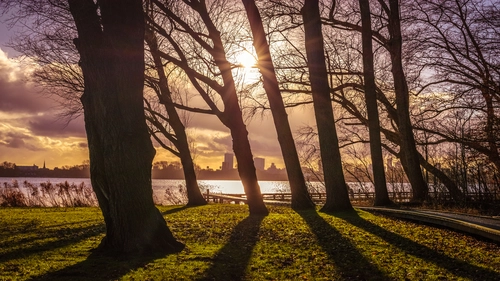 деревья, берег, лес, природа, река, зеленые, серые