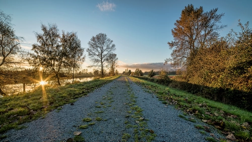 дорога, река, деревья, зеленые, желтые, серые
