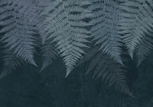 Тропики, Папоротник, Кустарник, Листья