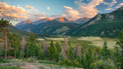 горы, лес, поле, природа, зеленые, деревья