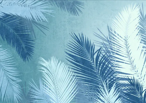 Тропики, Папоротник, Кустарник, Листья