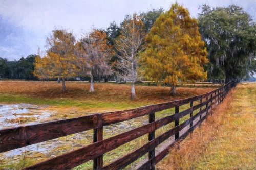 забор, дорога, поле, деревья, лес, осень, коричневые, серые, зеленые