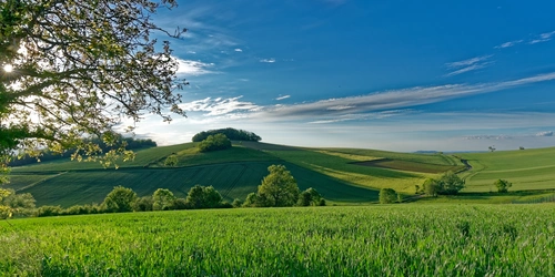 поле, природа, франция, деревья, зеленые, голубые