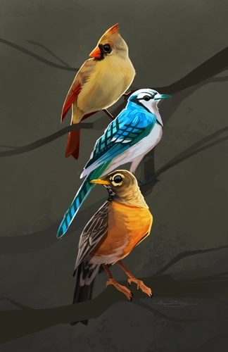 птицы, рисунок, серые, коричневые