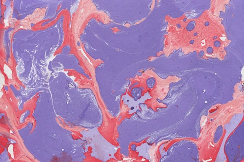 красные, розовые, фиолетовые, абстракция, текстура