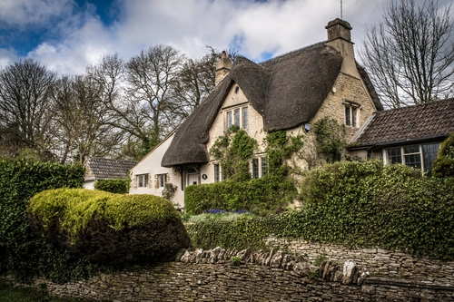 сад, кусты, англия, зеленые, белые, синие, серые