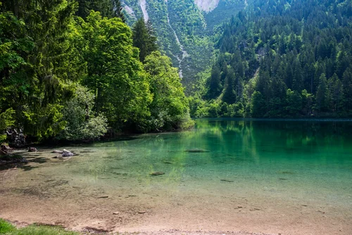 река, вода, деревья, лес, берег, камни, гора, зелёные