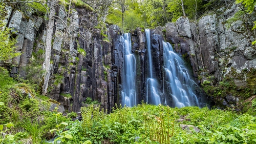 кусты, водопад, деревья, зеленые, коричневые, природа