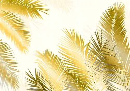 Тропики, Папоротник, Кустарник, Листья