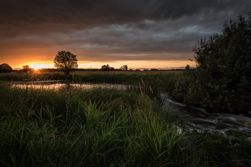 природа, лес, поле, река, закат, желтые, зеленые, серые