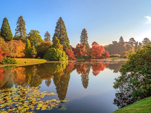 отражение, осень, озеро, природа, синие, зеленые