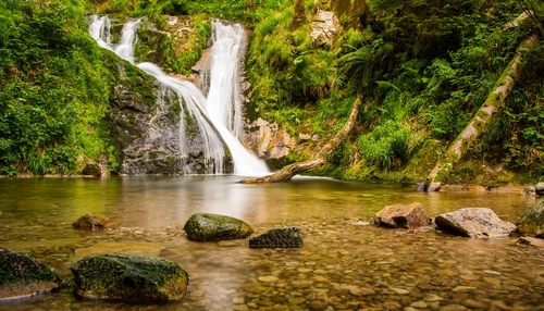 лес, ручей, река, озеро, природа, коричневые, зеленые