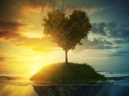 остров, закат, дерево, сердце, зеленые, желтые, синие
