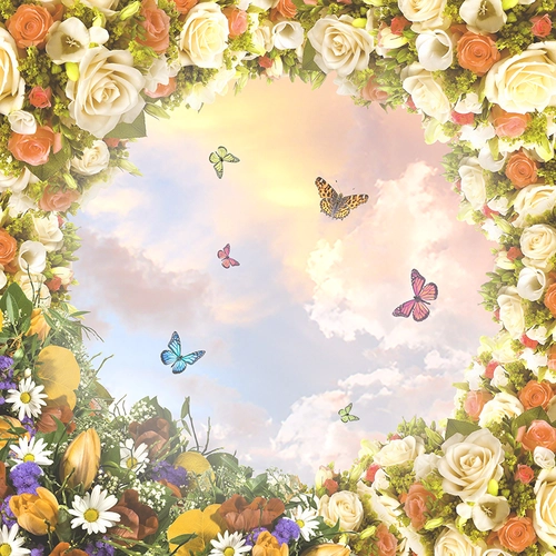 потолок, потолочные, небо, бабочка, бабочки, цветы, розы, бежевые, оранжевые