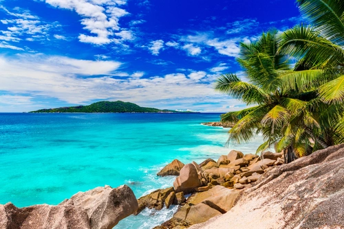 камни, пляж, океан, остров, пальма, синие, голубые, зеленые, коричневые