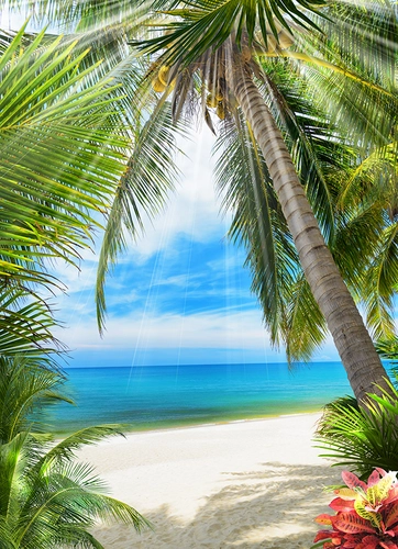 пляж, море, небо, горизонт, океан, вода, пальма, бежевые, голубые, зеленые