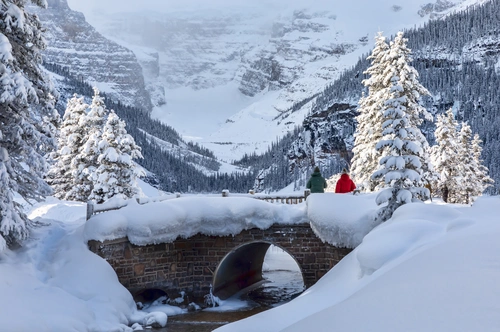 мост, лес, горы, коричневые, белые, черные