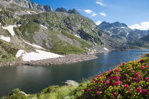 река, горы, цветы, природа, франция, серые, голубые, зеленые