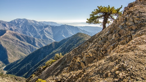 горы, дерево, холмы, камни, бежевые, синие
