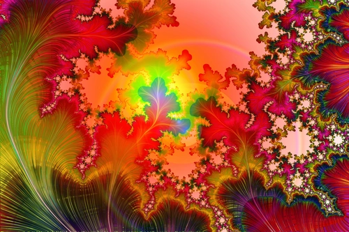 трава, листья, лепестки, радуга, красные