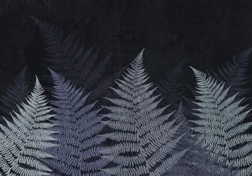 Тропики, Папоротник, Кустарник, Листья