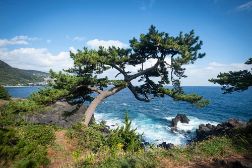 утес, япония, океан, берег, синие, зеленые