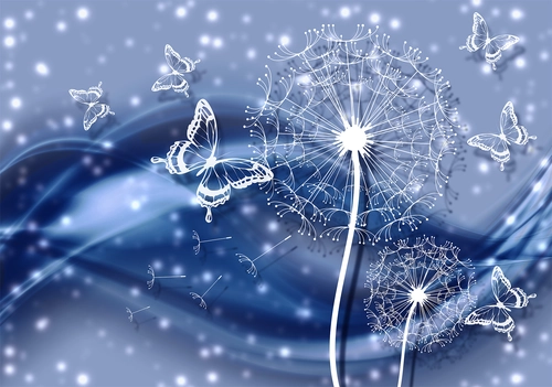 цветы, одуванчики, бабочки, волны, синие, белые