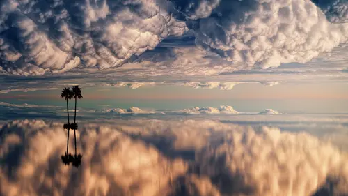 пальмы, деревья, облака, отражение, вода, белые, синие