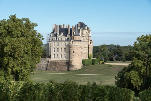 замок, природа, франция, зеленые, бежевые, голубые