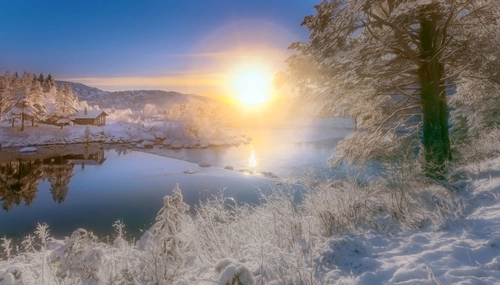 солнце, отражение, деревья, озеро, желтые, белые