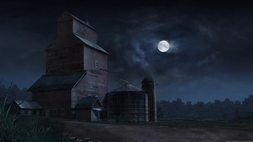 дом, ночь, луна, черные, темные, желтые