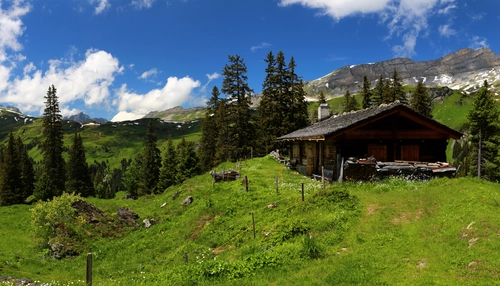 горы, холмы, дом, швейцария, лес, зеленые, синие, коричневые