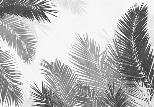 Тропики, Папоротник, Кустарник, Листья