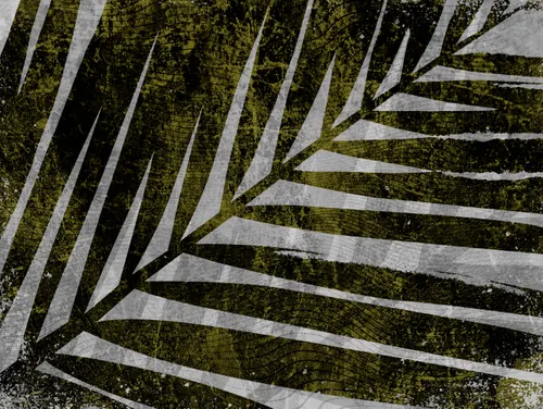 Тропики, Папоротник, Кустарник, Листья