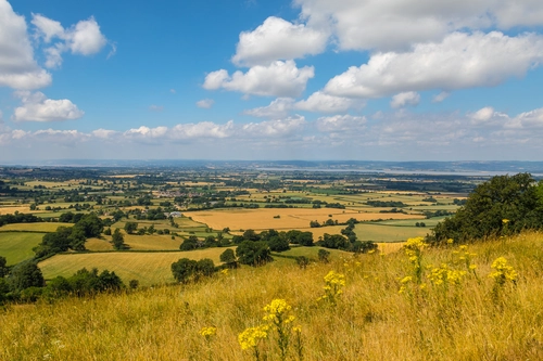 поле, деревья, англия, желтые, зеленые, синие