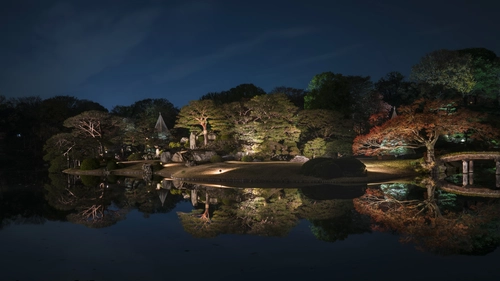 деревья, лес, природа, ночь, озеро, черные, серые, коричневые