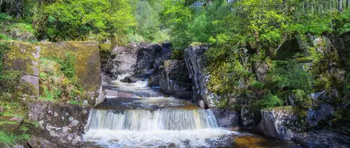 водопад, река, природа, лес, зеленые, коричневые