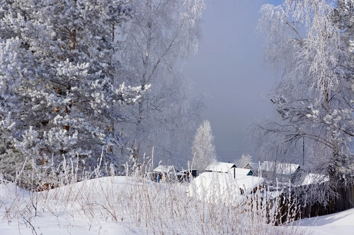 деревня, лес, деревья, снег, серые, белые