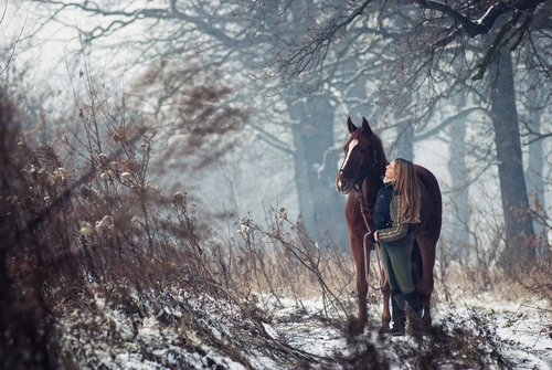 девушка, лошадь, лес, зима, коричневые, белые