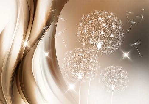 растение, цветы, одуванчики, блеск, коричневые, белые