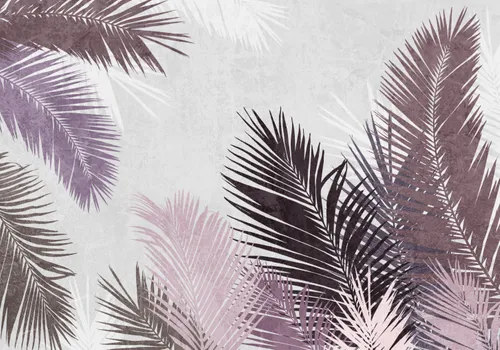 Тропики, Папоротник, Кустарник, Листья